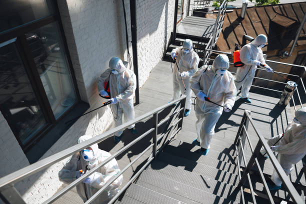 Professional Mold Removal in Haslett, MI