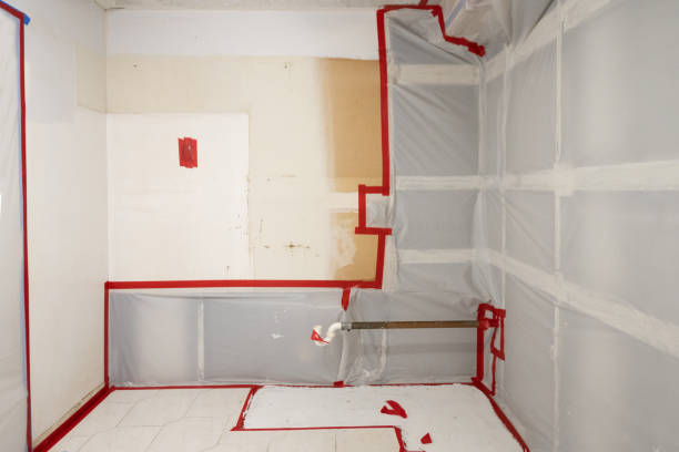 Best Biohazard Mold Removal  in Haslett, MI