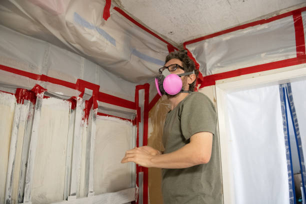Best Crawl Space Mold Remediation  in Haslett, MI