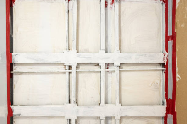 Best Airborne Mold Testing  in Haslett, MI