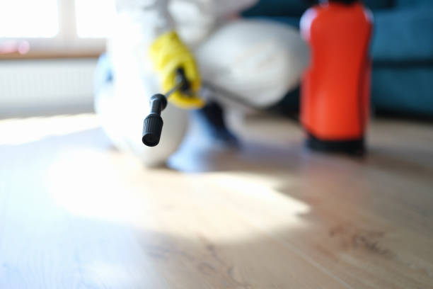 Best Industrial Mold Remediation  in Haslett, MI