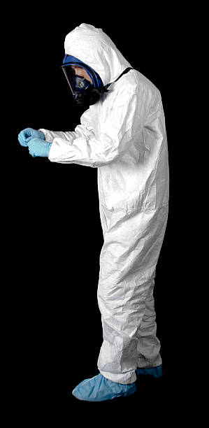 Best Asbestos and Lead Testing During Mold Inspection  in Haslett, MI