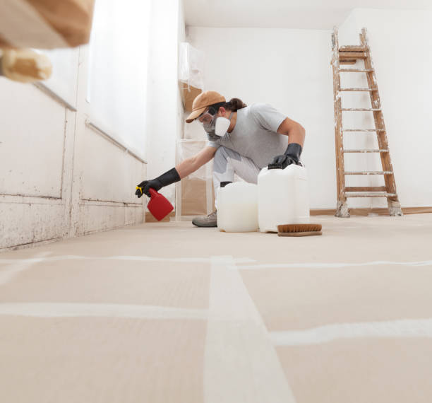Best Residential Mold Inspection & Testing  in Haslett, MI