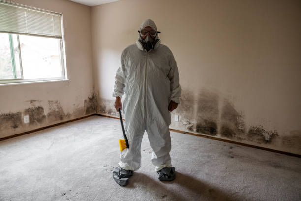 Best Emergency Mold Remediation  in Haslett, MI