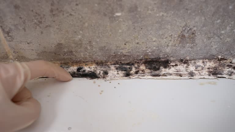Best Post-Remediation Verification Testing  in Haslett, MI