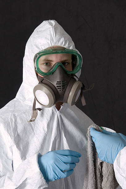 Best Water Damage & Mold Remediation  in Haslett, MI